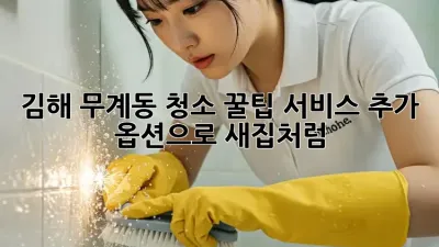 김해 무계동 청소 꿀팁🍯: 서비스 추가 옵션으로 ✨새집처럼!